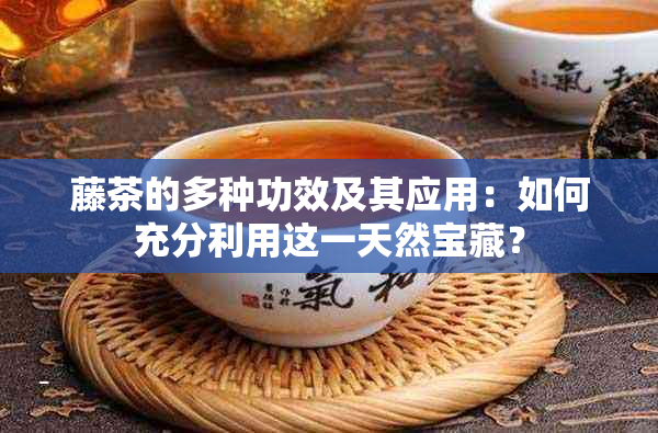 藤茶的多种功效及其应用：如何充分利用这一天然宝藏？