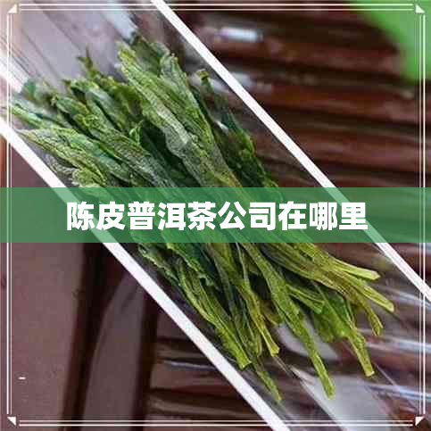 陈皮普洱茶公司在哪里