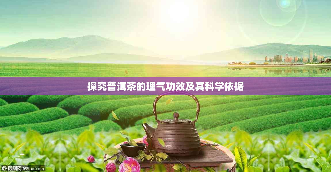 探究普洱茶的理气功效及其科学依据