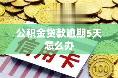 公积金贷款逾期5天怎么办