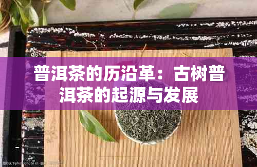 普洱茶的历沿革：古树普洱茶的起源与发展