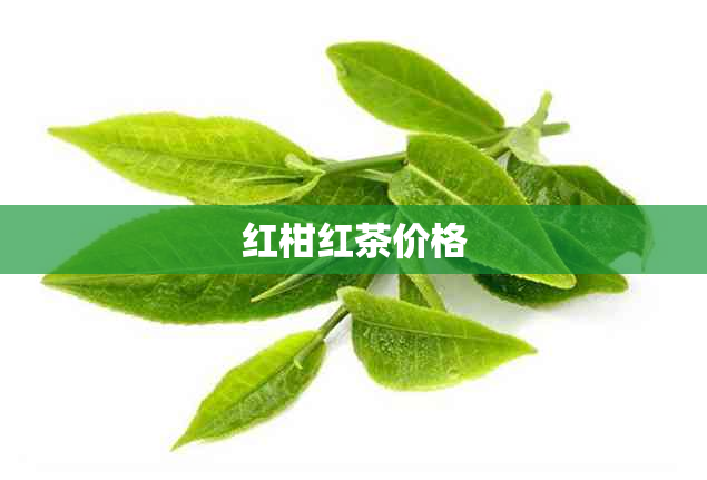 红柑红茶价格