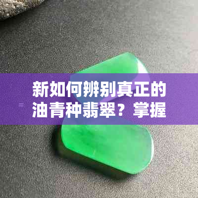 新如何辨别真正的油青种翡翠？掌握这些关键要素即可轻松鉴别！