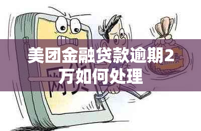 美团金融贷款逾期2万如何处理