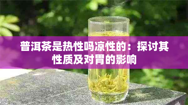 普洱茶是热性吗凉性的：探讨其性质及对胃的影响