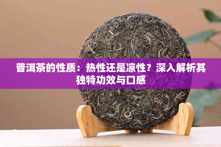 普洱茶的性质：热性还是凉性？深入解析其独特功效与口感