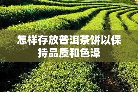 怎样存放普洱茶饼以保持品质和色泽