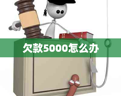 欠款5000怎么办