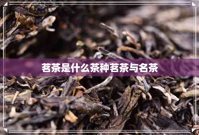 茗茶是什么茶种茗茶与名茶