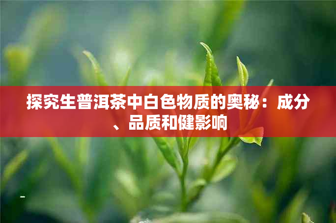 探究生普洱茶中白色物质的奥秘：成分、品质和健影响