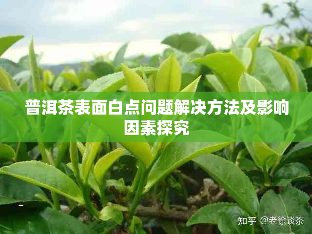 普洱茶表面白点问题解决方法及影响因素探究