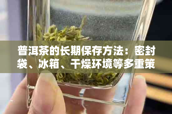 普洱茶的长期保存方法：密封袋、冰箱、干燥环境等多重策略全面解析