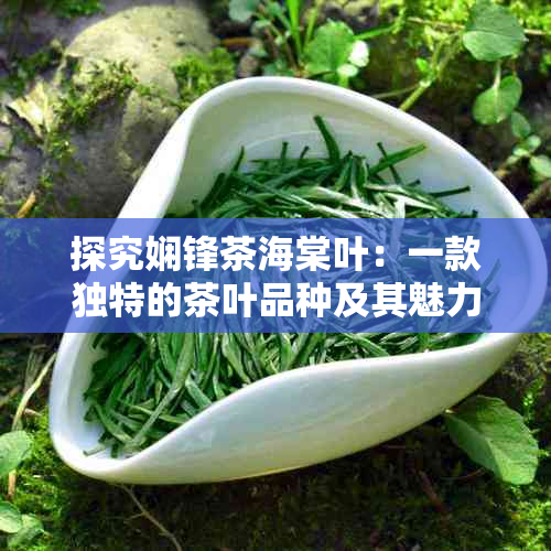 探究娴锋茶海棠叶：一款独特的茶叶品种及其魅力所在