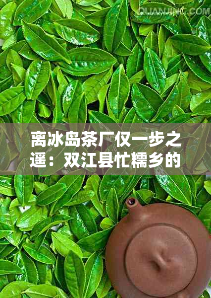 离冰岛茶厂仅一步之遥：双江县忙糯乡的茶文化之旅