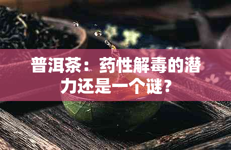 普洱茶：性解的潜力还是一个谜？