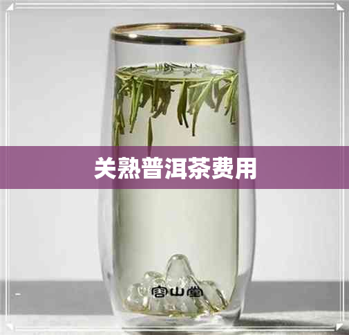 关熟普洱茶费用