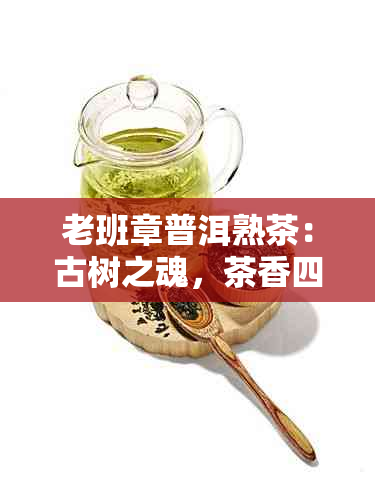 老班章普洱熟茶：古树之魂，茶香四溢的醇厚享受