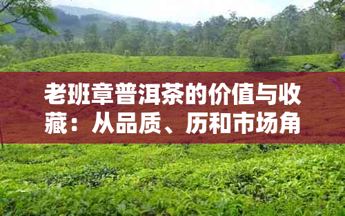 老班章普洱茶的价值与收藏：从品质、历和市场角度的全面分析