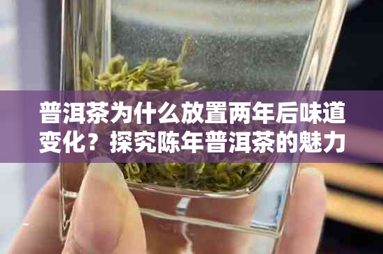 普洱茶为什么放置两年后味道变化？探究陈年普洱茶的魅力与挑战