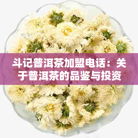 斗记普洱茶加盟电话：关于普洱茶的品鉴与投资