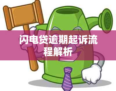 闪电贷逾期起诉流程解析