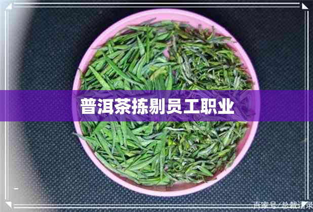 普洱茶拣剔员工职业