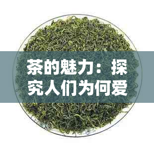 茶的魅力：探究人们为何爱饮茶，以及茶的健益处和品茗技巧