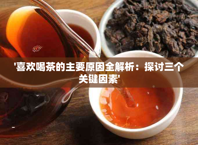 '喜欢喝茶的主要原因全解析：探讨三个关键因素'