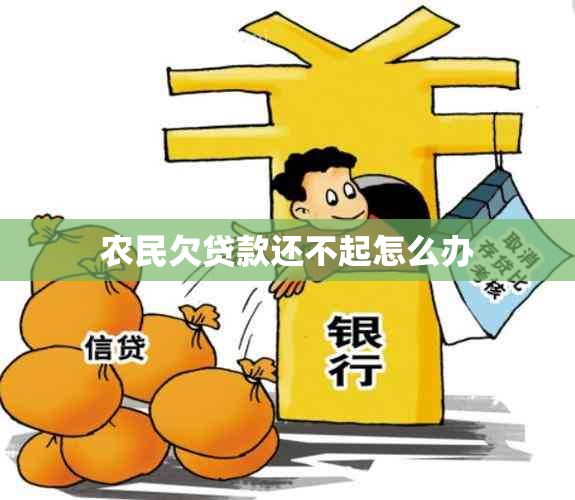 农民欠贷款还不起怎么办