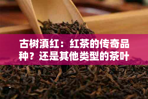 古树滇红：红茶的传奇品种？还是其他类型的茶叶？解析其起源与特点