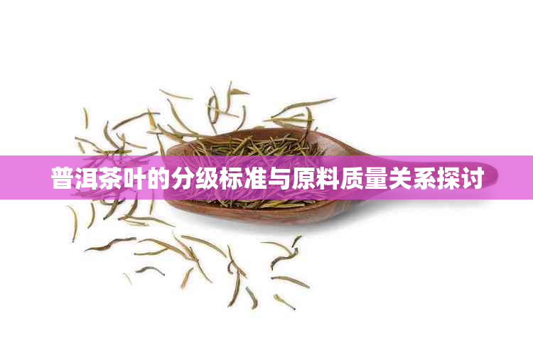 普洱茶叶的分级标准与原料质量关系探讨