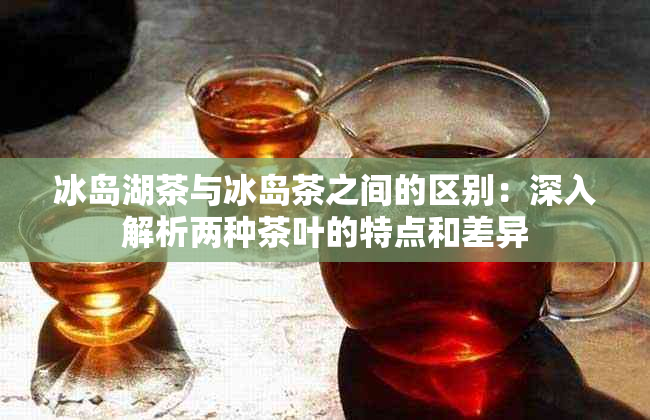 冰岛湖茶与冰岛茶之间的区别：深入解析两种茶叶的特点和差异