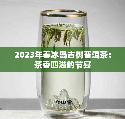 2023年春冰岛古树普洱茶：茶香四溢的节宴