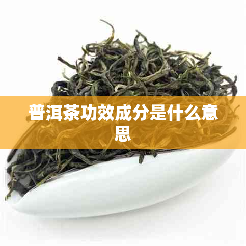 普洱茶功效成分是什么意思