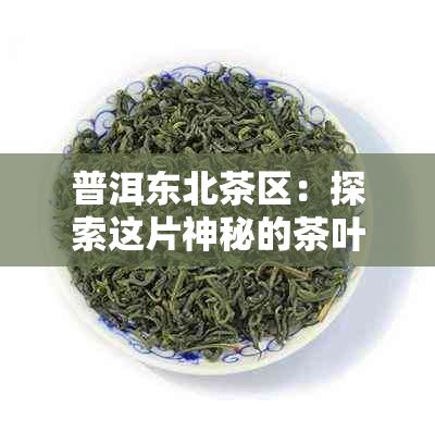 普洱东北茶区：探索这片神秘的茶叶产地及其制作工艺