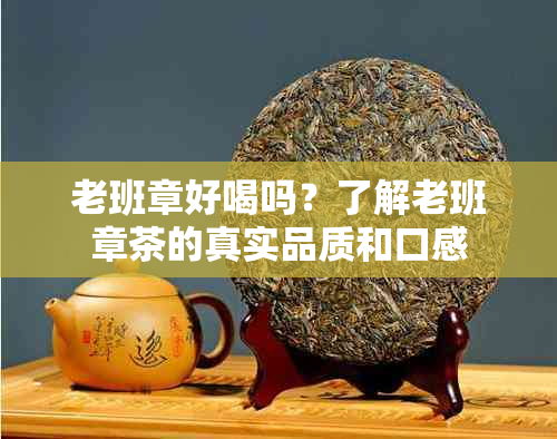 老班章好喝吗？了解老班章茶的真实品质和口感