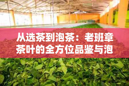 从选茶到泡茶：老班章茶叶的全方位品鉴与泡法详解