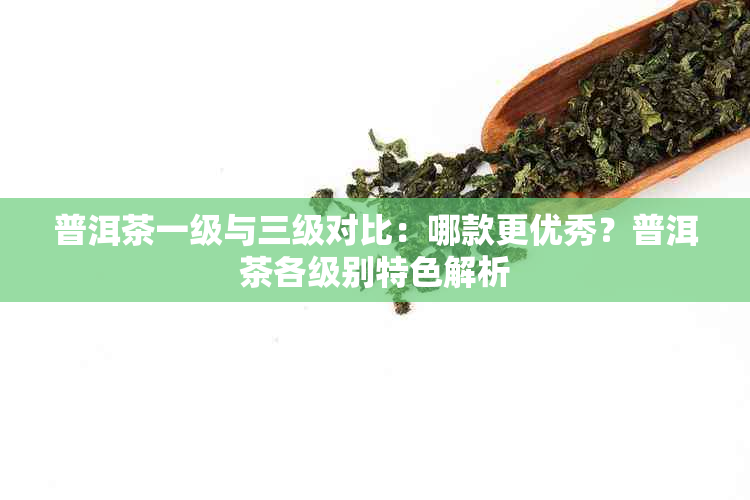 普洱茶一级与三级对比：哪款更优秀？普洱茶各级别特色解析