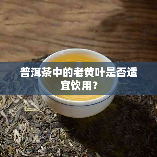 普洱茶中的老黄叶是否适宜饮用？