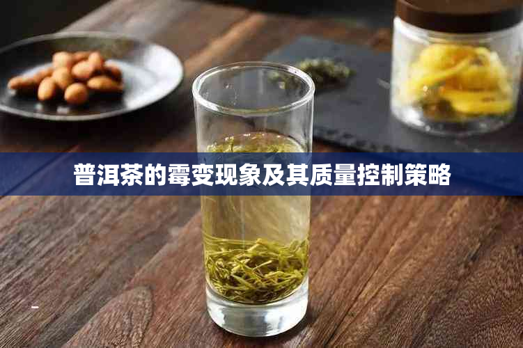 普洱茶的霉变现象及其质量控制策略