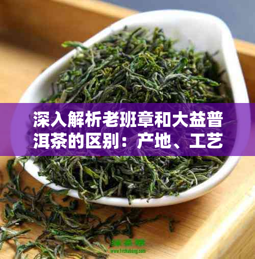 深入解析老班章和大益普洱茶的区别：产地、工艺、口感与价值对比