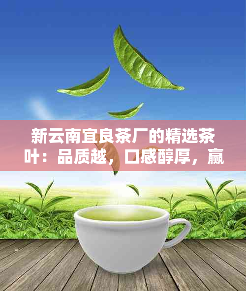 新云南宜良茶厂的精选茶叶：品质越，口感醇厚，赢得广泛好评