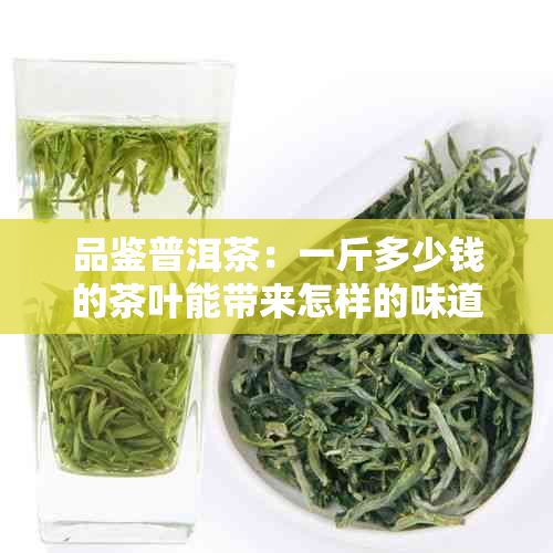 品鉴普洱茶：一斤多少钱的茶叶能带来怎样的味道享受？