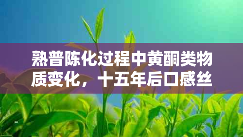 熟普陈化过程中黄酮类物质变化，十五年后口感丝，陈化多久可喝？