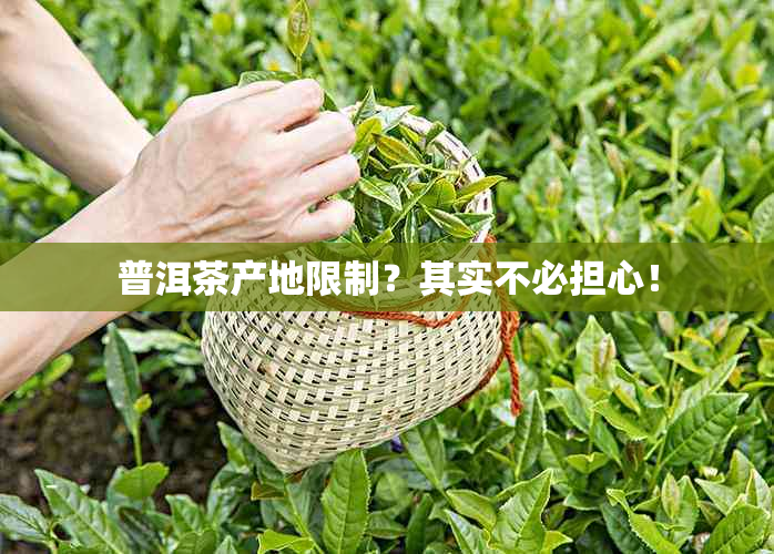 普洱茶产地限制？其实不必担心！