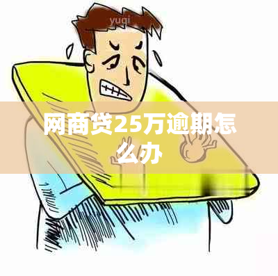 网商贷25万逾期怎么办