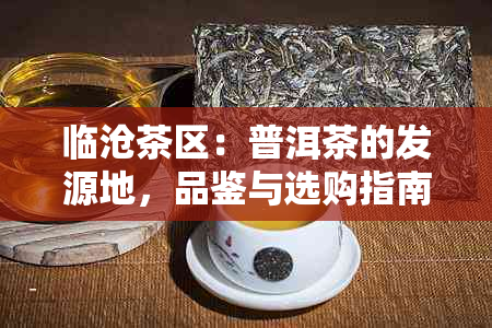 临沧茶区：普洱茶的发源地，品鉴与选购指南一应俱全