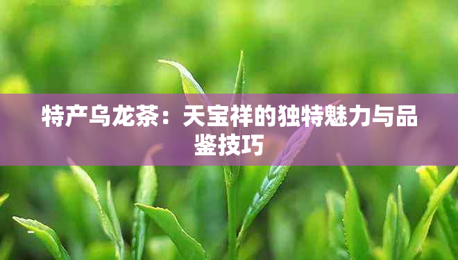 特产乌龙茶：天宝祥的独特魅力与品鉴技巧