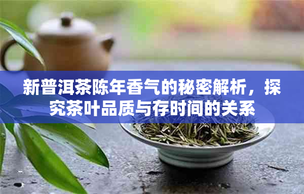 新普洱茶陈年香气的秘密解析，探究茶叶品质与存时间的关系