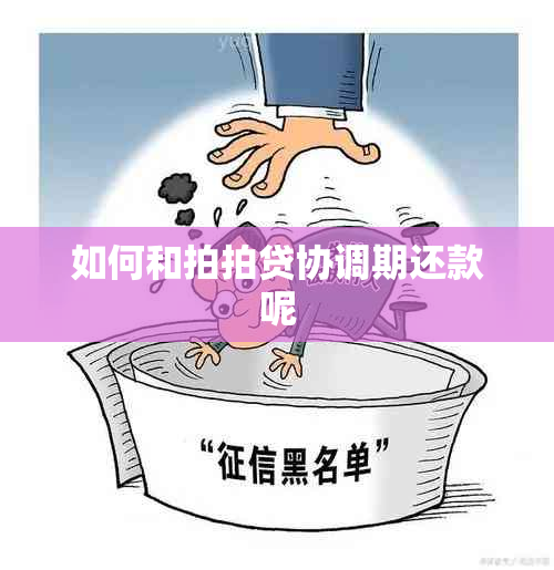 如何和拍拍贷协调期还款呢